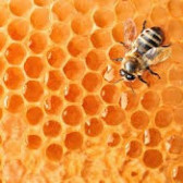 ANALYSIS ON HONEY