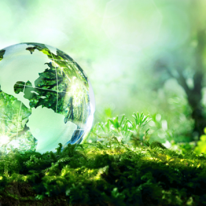 Servizi per il settore ambientale Servizi per il settore ambientale