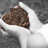 Servizi per il settore ambientale