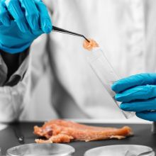 N.I.R. verifica rapida della tabella nutrizionale